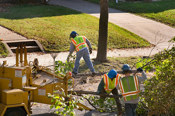 Landscape Design and Installation in Riverdale, UT