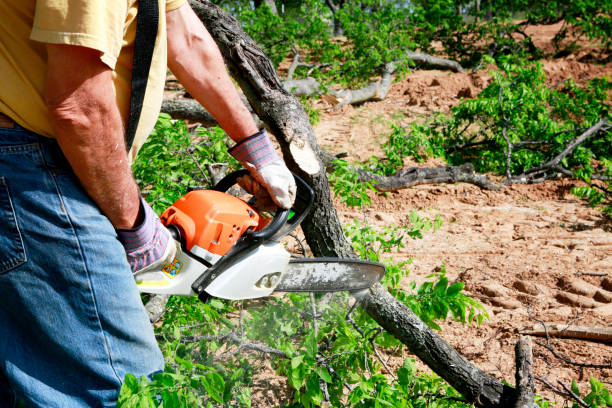 Lawn Irrigation Installation and Maintenance in Riverdale, UT
